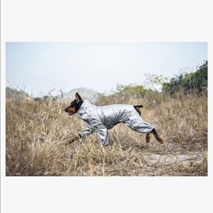 Corgiology Dog Jackets